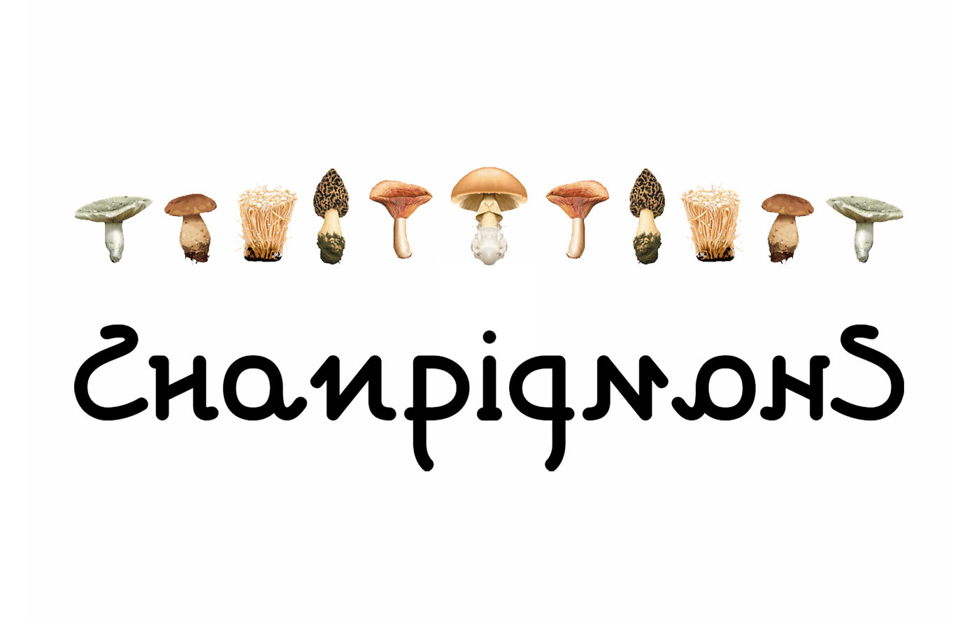 ambigramme Champignons