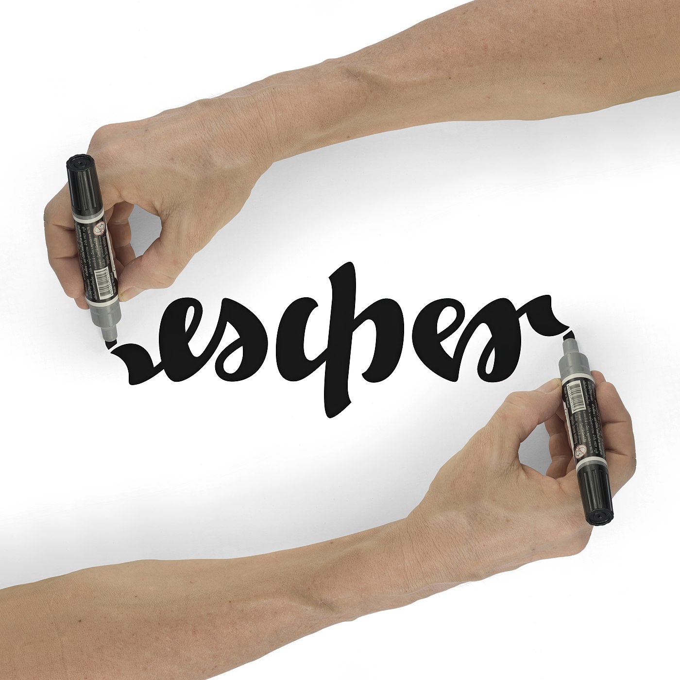 ambigram Escher photomontage