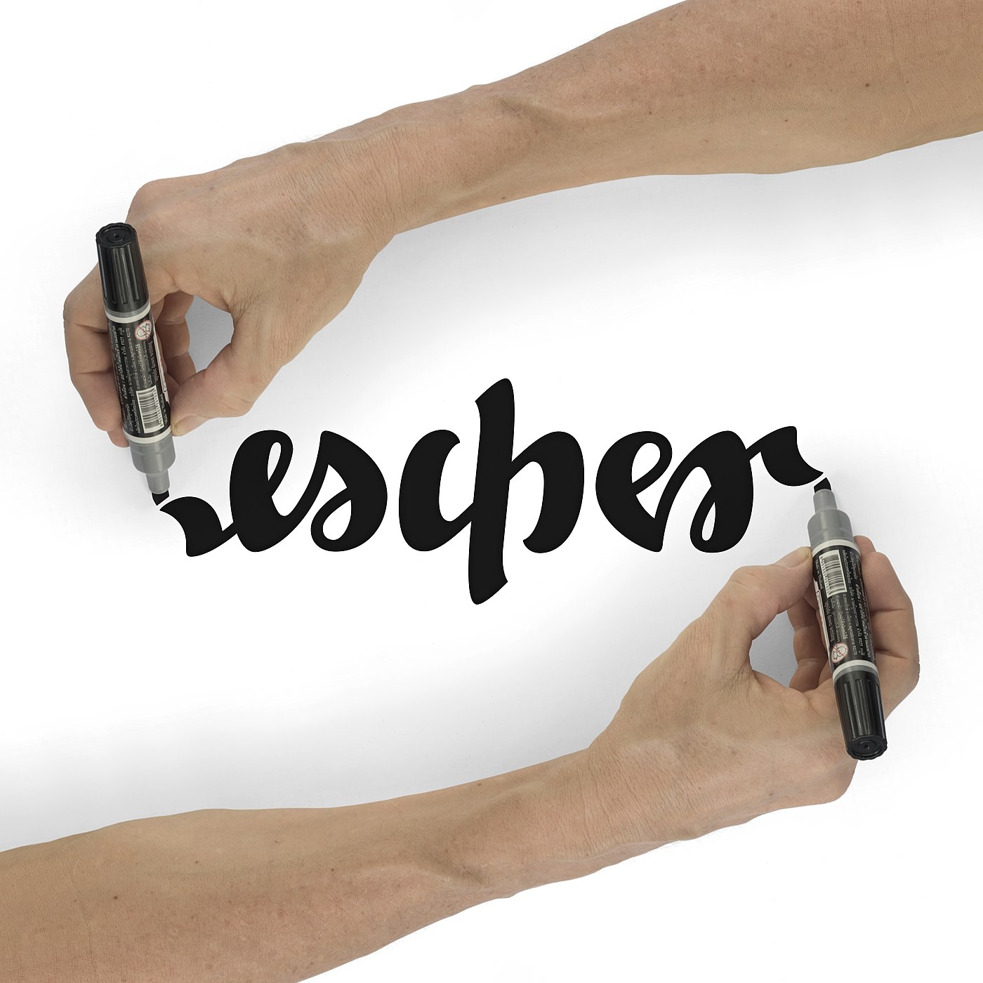 ambigram Escher photomontage