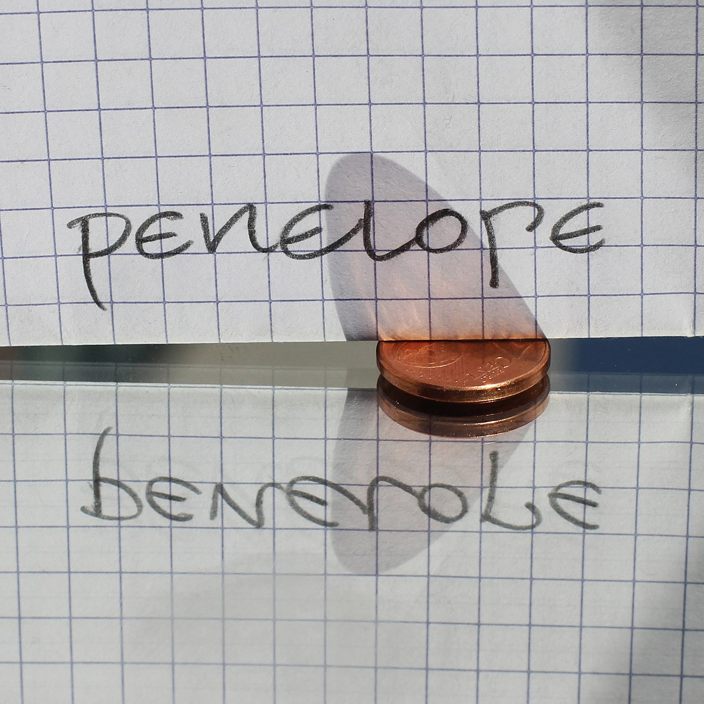 ambigramme penelope benevole piece