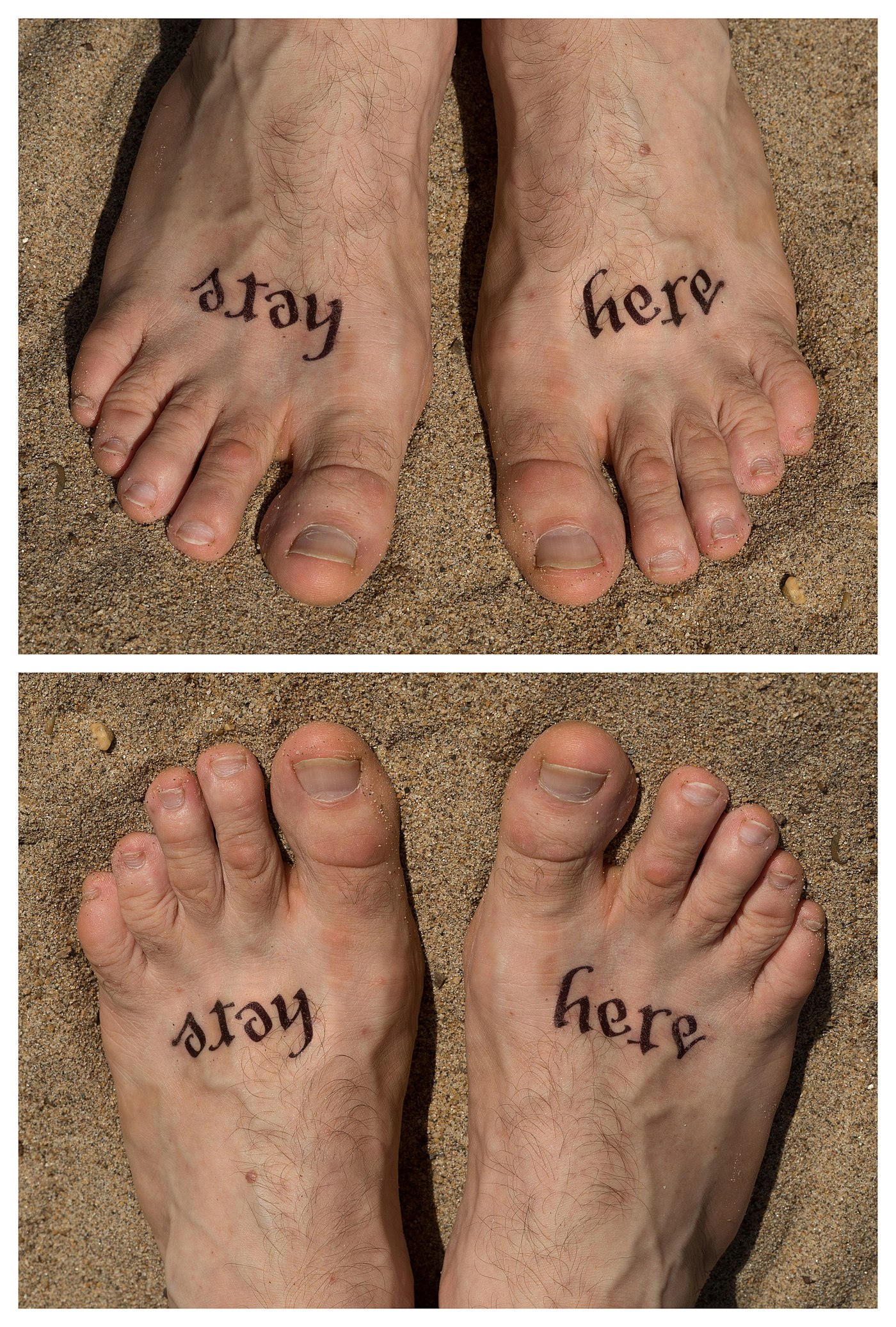 ambigram Stay here tattoo