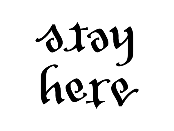 Stay Here