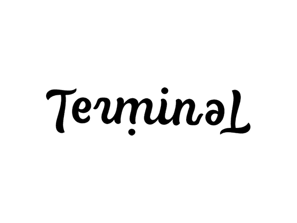 Terminal