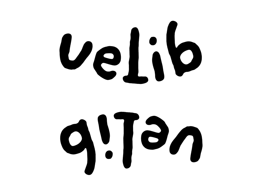 Velib Gitan