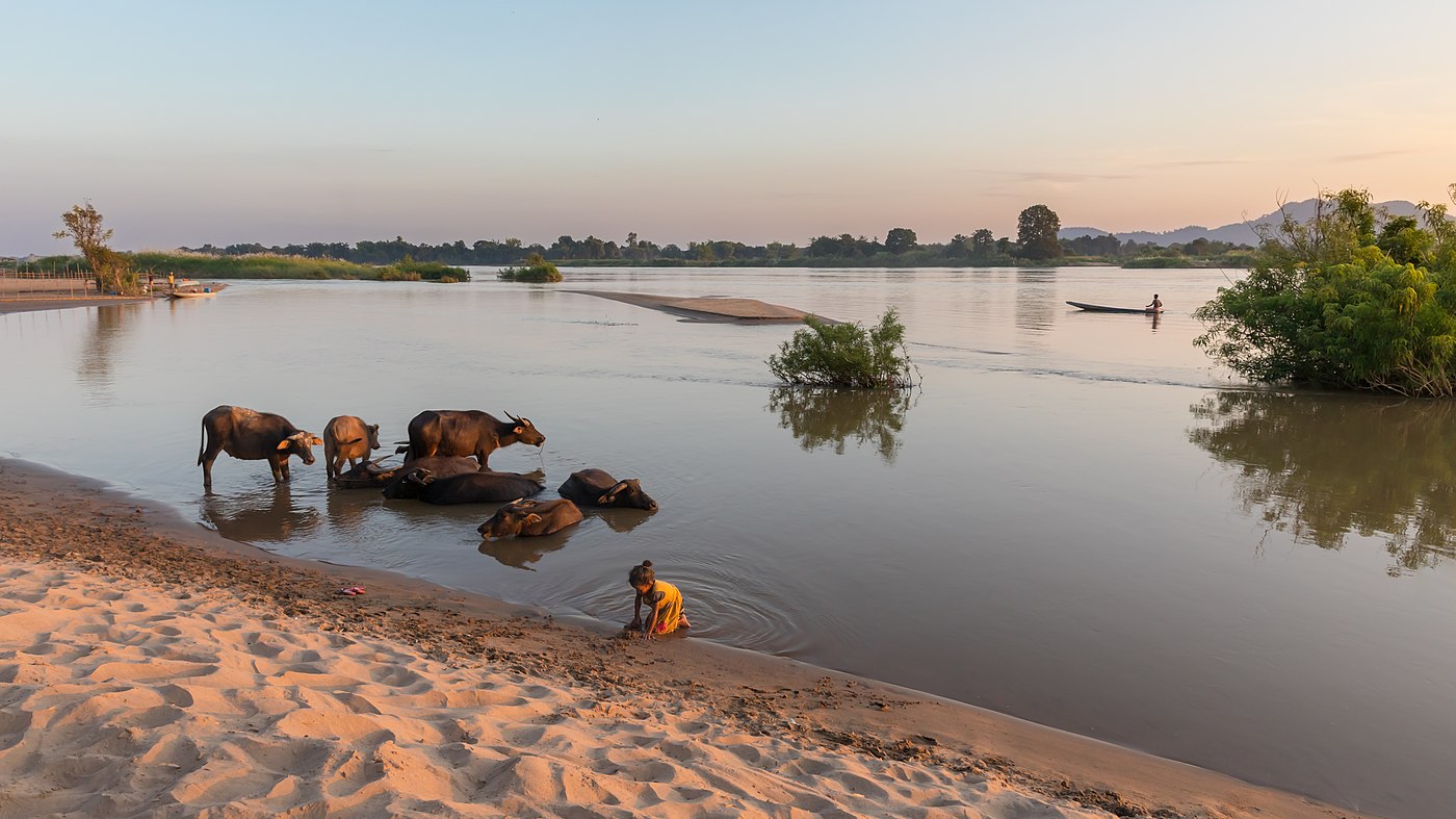 River bank at sunset from the island of Don Puay, Si Phan Don, Laos