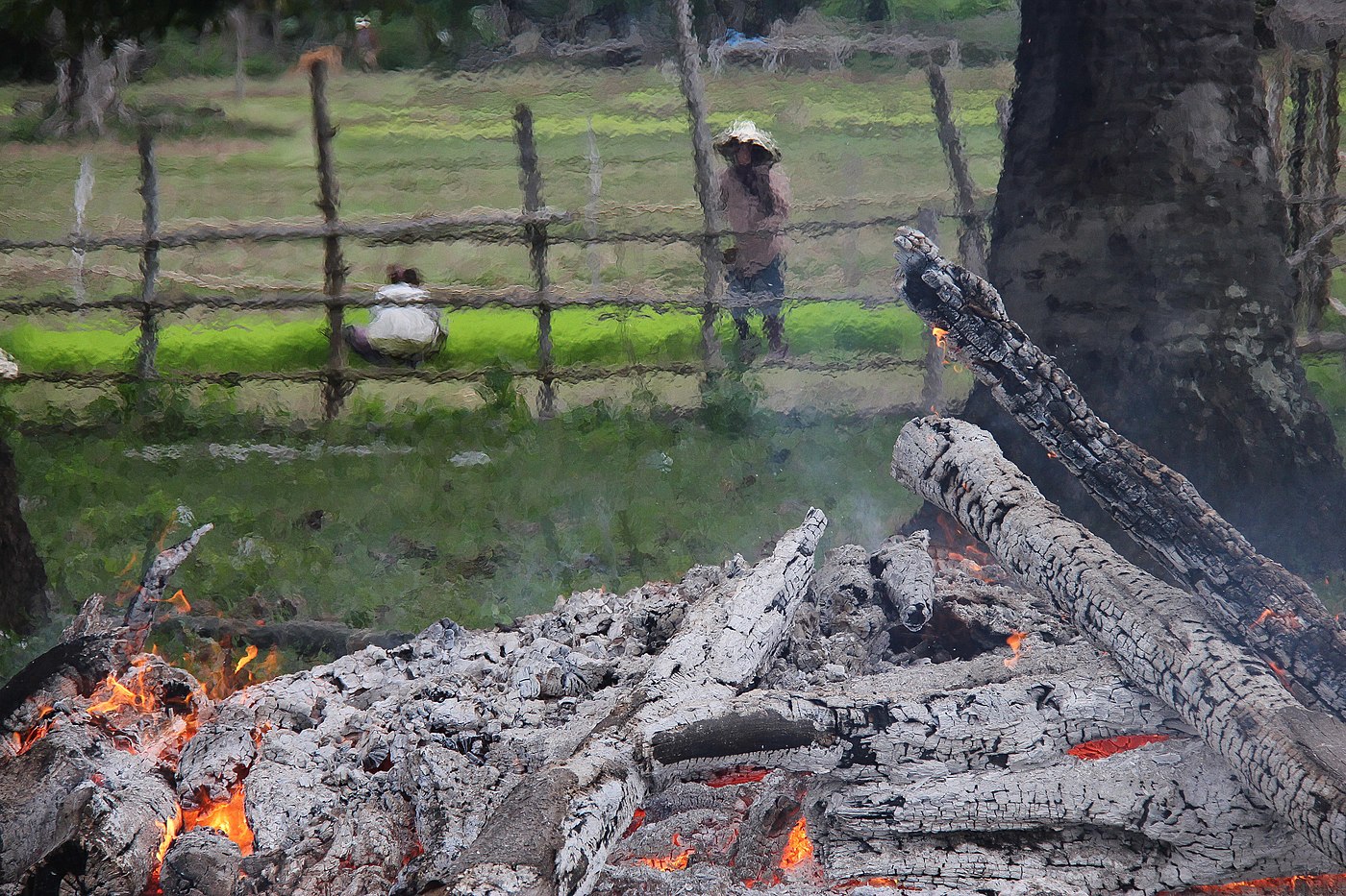 Brume de chaleur au-dessus des braises d'un feu de cremation