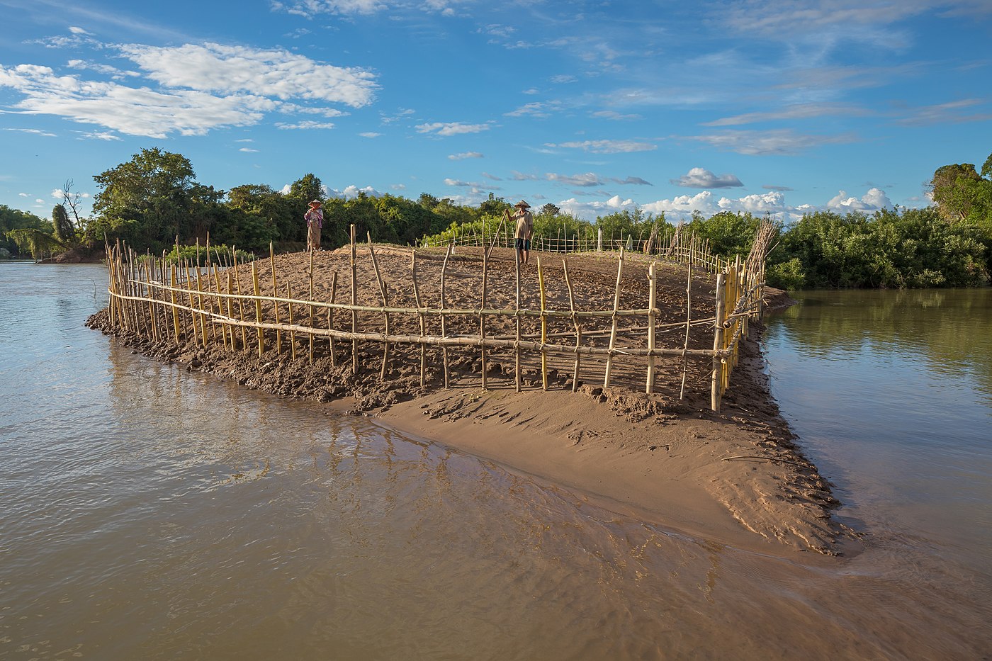 Cloture en bois sur une berge du Mekong, autour d'une petite île cultivée